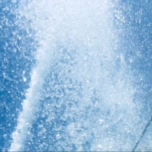 Meet your Posher, Eli